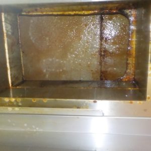 DSCN5389